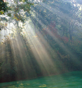 About Reiki and Deep Soul Healing. bigger light thru trees